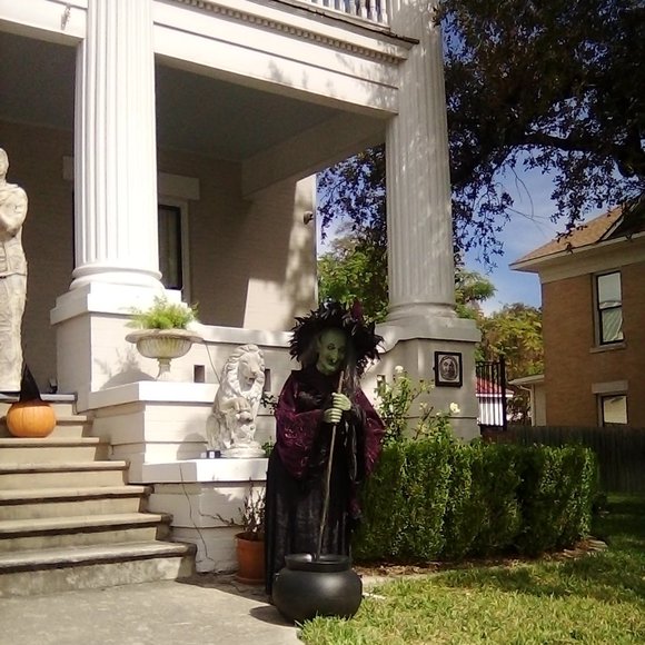 Meet your Posher, Norma Yvonne, aka, PYRETTA BLAZE - Picture 3 of 7